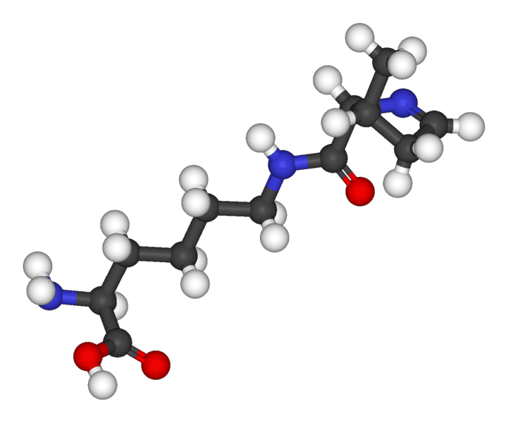 La pyrrolysine est un acide aminé rare, incorporé en face d'un codon stop. © Domaine public