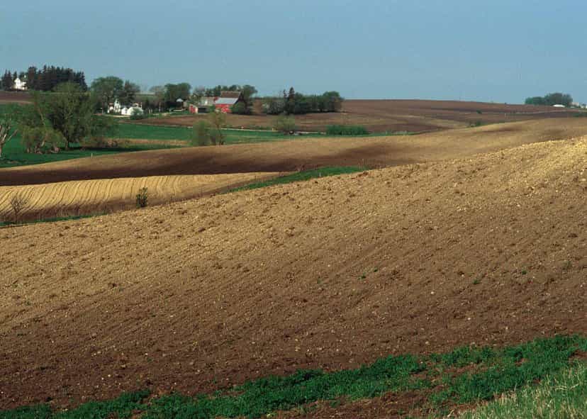 La terre végétale constitue la première couche du sol. © Lynn Betts, Domaine public, Wikimedia Commons