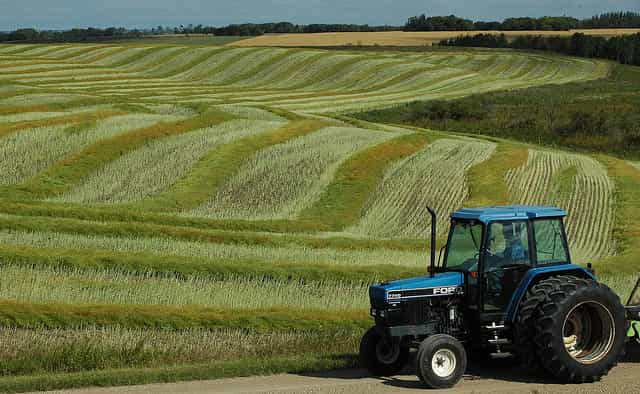 Dans l'histoire de l'agriculture, l'arrivée des tracteurs a permis l'agrandissement des parcelles agricoles et favorisé les paysages en openfield. &copy; jenny222, Fliskr, cc by nd nd 2.0