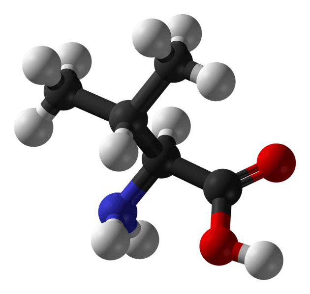 La valine est un acide aminé essentiel. © Benjah-bmm27, Wikimedia, domaine public