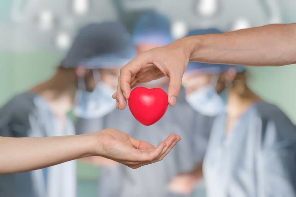 Des chirurgiens américains ont réussi à transplanter un cœur encore battant à partir d’un donneur en état de mort cardiaque. © vchalup, Adobe Stock