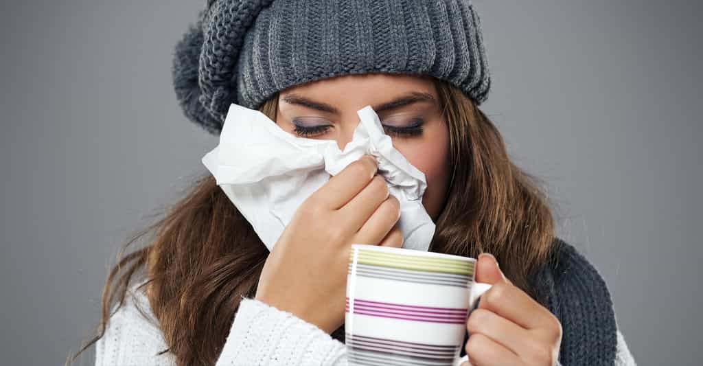 Les virus de la grippe entraînent le plus souvent une maladie bénigne, qui s'accompagne de fatigue, de fièvre, de toux ou de maux de tête. Une infection bactérienne supplémentaire peut parfois s'avérer mortelle. © gpointstudio, Shutterstock