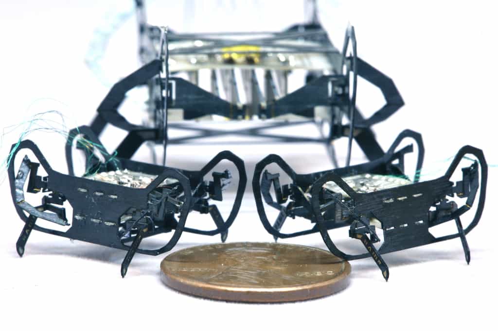 HAMR-Jr est un microrobot créé par des chercheurs de l’université de Harvard, capable d’avancer à 14 fois la longueur de son corps par seconde © Harvard