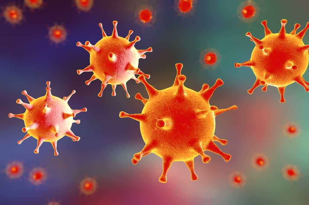 Les virus HSV1 et HSV2 sont tous deux des virus de la famille des herpèsvirus. © Kateryna_Kon, Fotolia