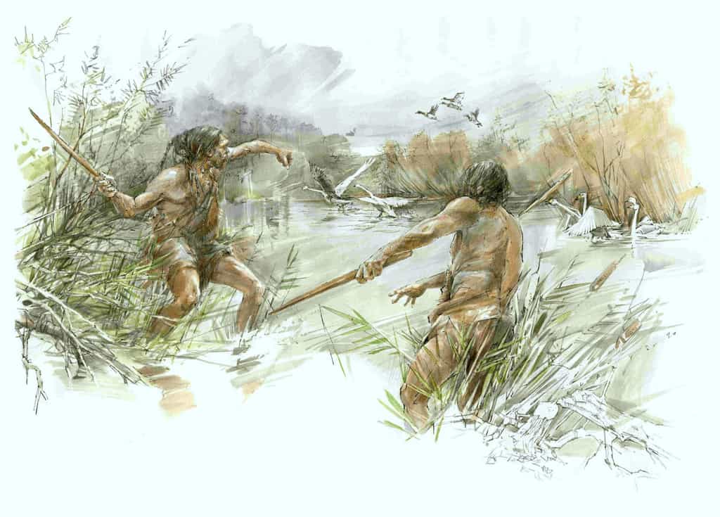 Illustration d'Homo heidelbergensis chassant des oiseaux. © Benoit Clarys