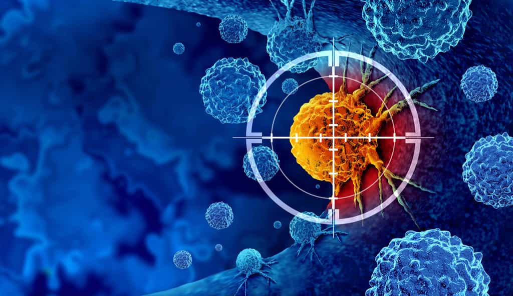 L'immunothérapie a pour objectif de « réveiller » le système immunitaire. © freshidea, Adobe Stock