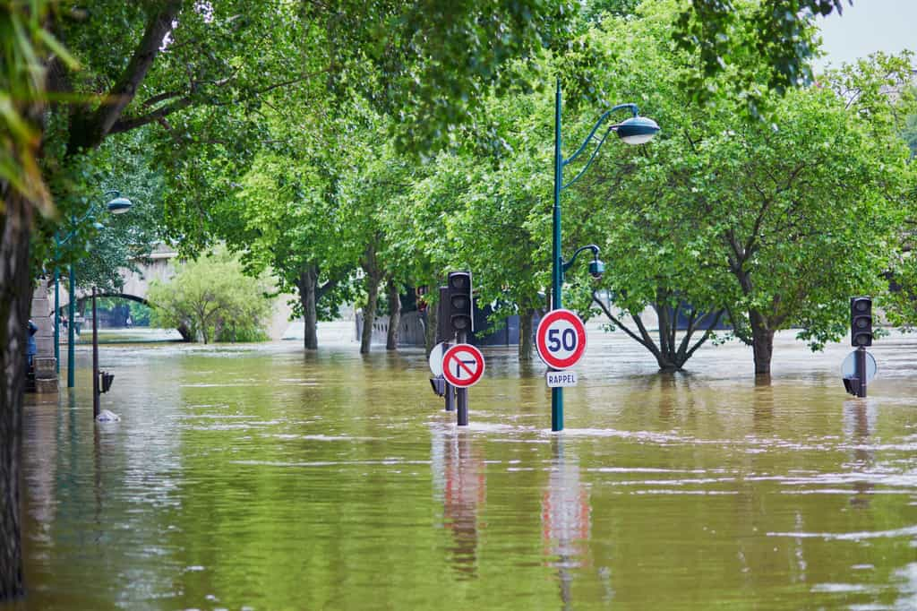 L'exemple de Steart Marshes : quand la nature répond au changement climatique et aux inondations. © Encrier, iStock