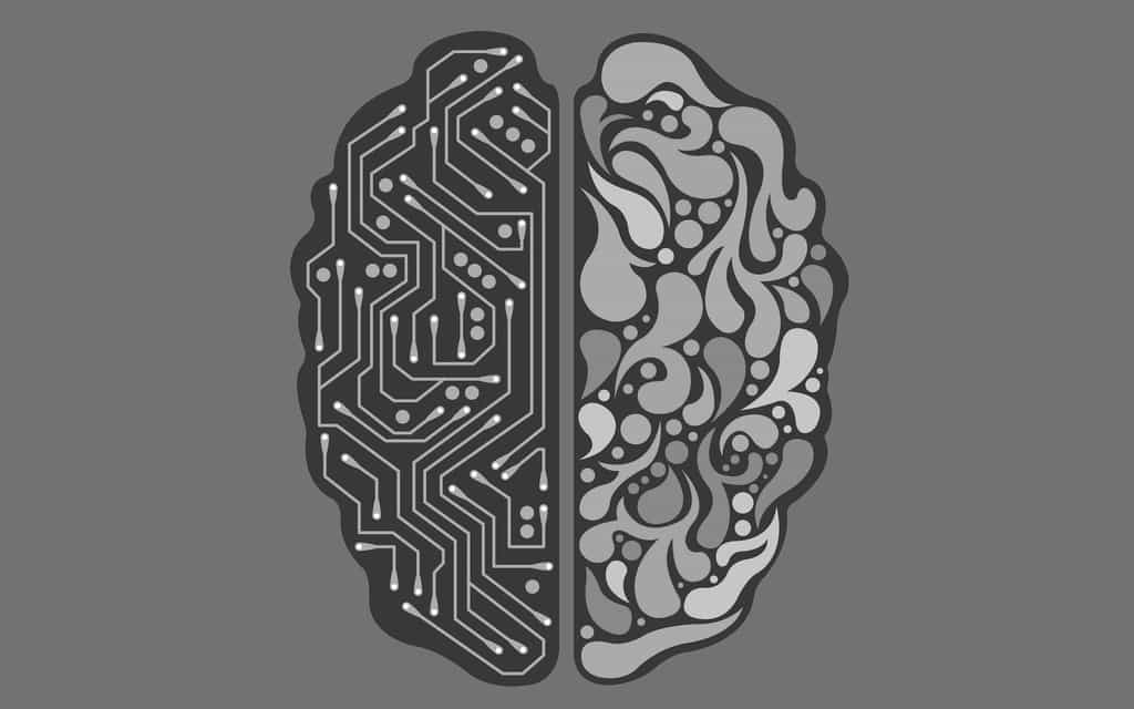 Le polymère Pedot pourrait un jour servir dans les interfaces cérébrales avec une intelligence artificielle. © Seanbatty, Pixabay