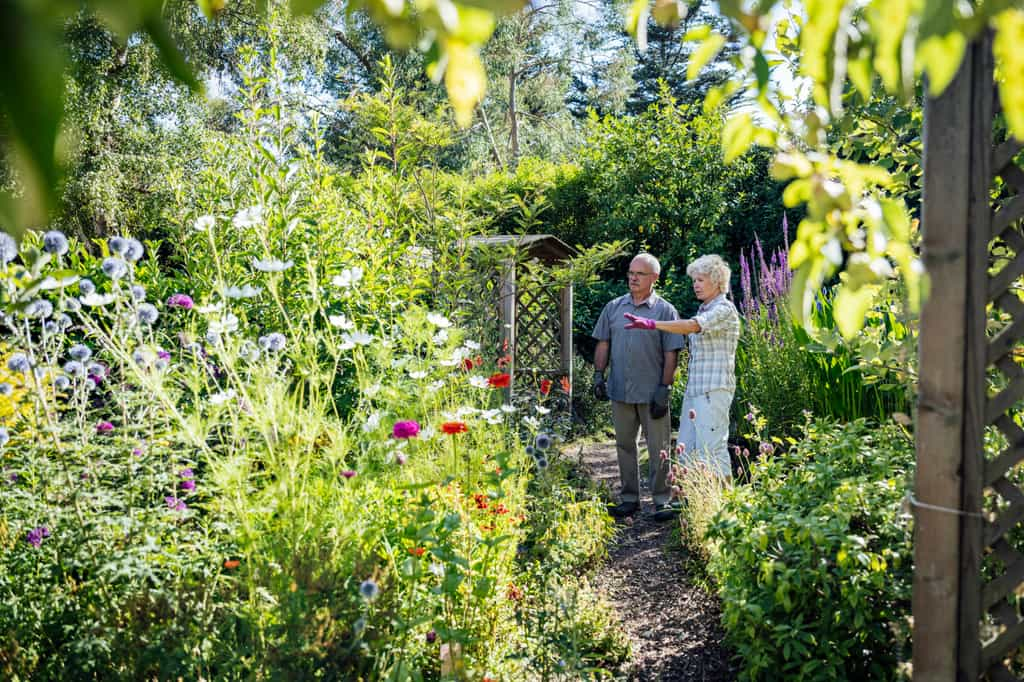 Créez votre jardin paysage pour cet automne en suivant ce guide étape par étape. © iStock