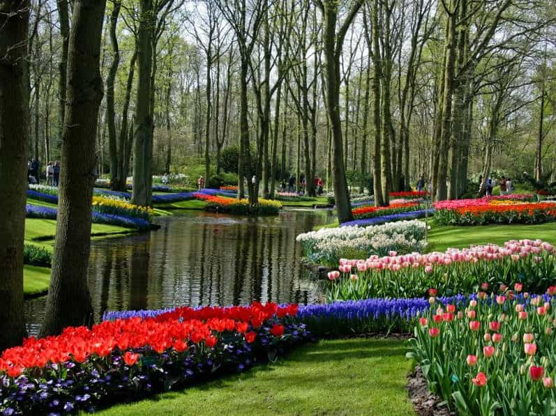 Le Keukenhof park et ses tulipes, en Hollande
