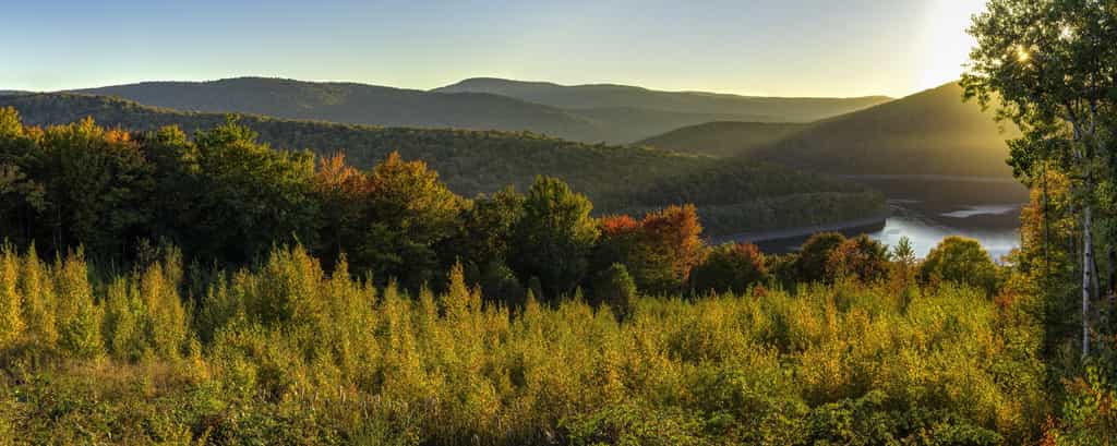 Paysage de la région des Catskills, dans le nord de l'État de New York (États-Unis), où se situe sur un site de Gilboa, la plus vieille forêt fossile. © lightphoto2, Adobe Stock