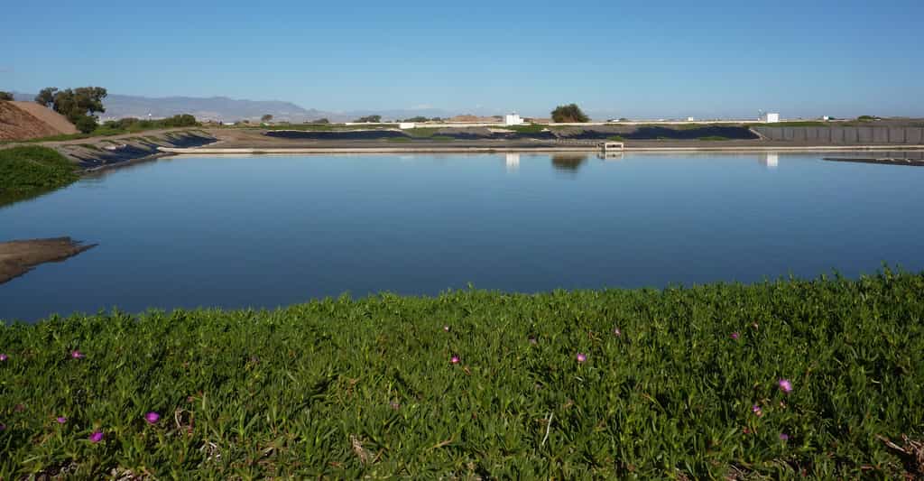Traitement biologique des eaux usées. Bassin de lagunage de l’agglomération du Grand Agadir. © Lydia Herrmann, Flickr, CC by 2.0