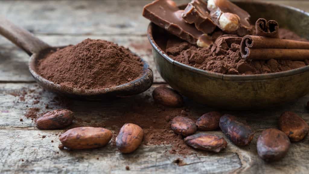 Quels sont les bienfaits du cacao&nbsp;?&nbsp;© kerim, fotolia
