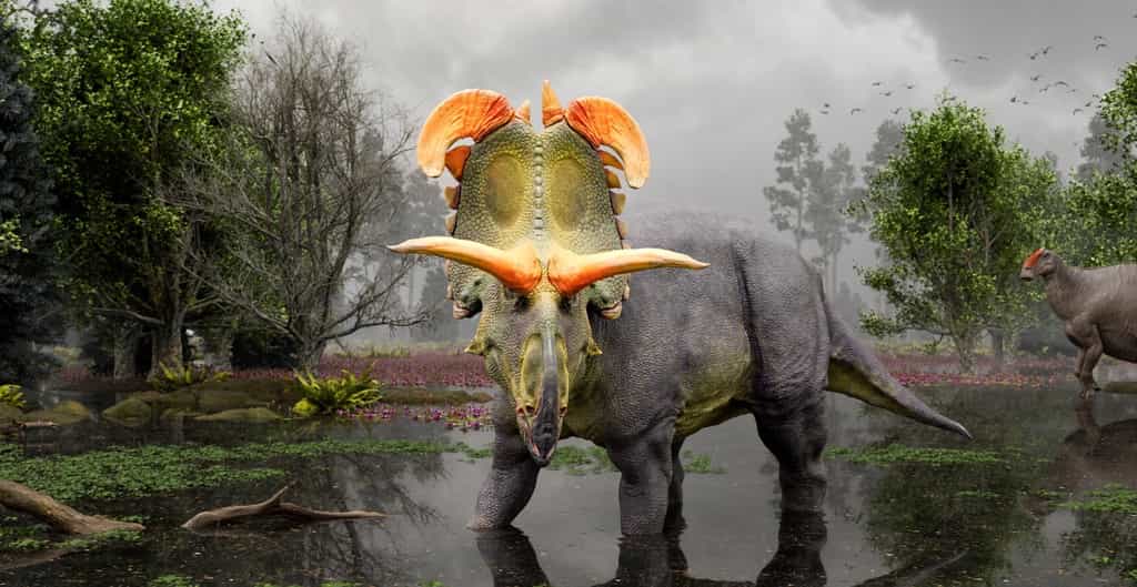 Une nouvelle espèce de dinosaure, le lokicératops, a été découverte. © Fabrizio Lavezzi