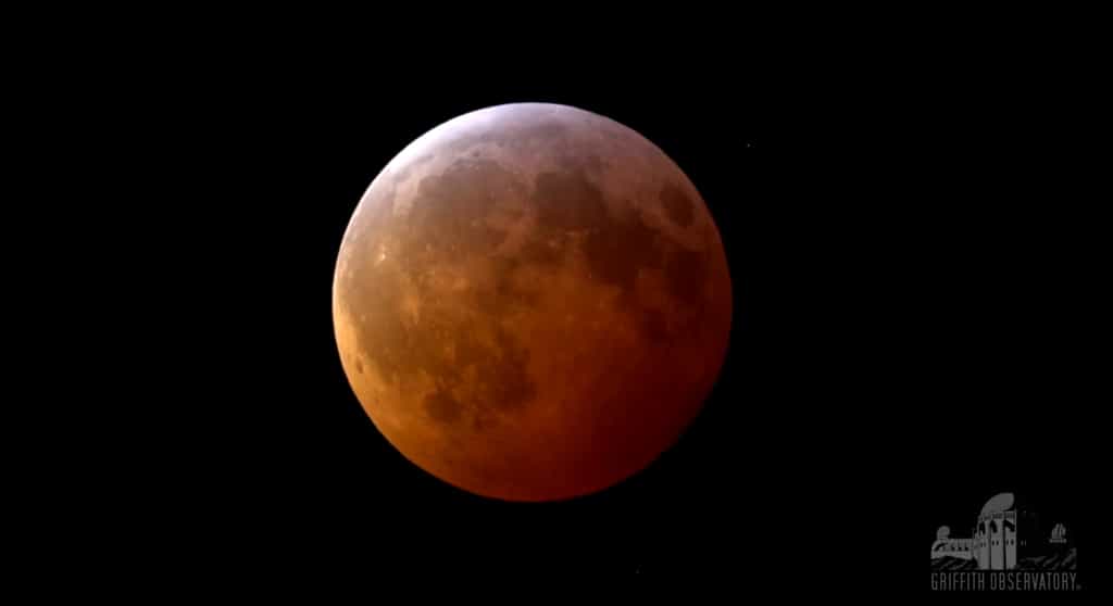 La Lune parée de teintes cuivrées au cours de l'éclipse totale du 21 janvier 2019. © Griffith Observatory