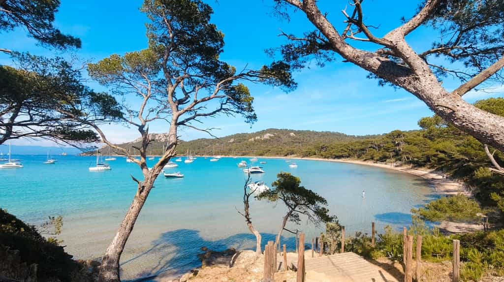 Les plages de Porquerolles affichent une température de l'eau extrêmement élevée, 28,5 °C ce mardi 13 août. © Sylvain, Adobe Stock