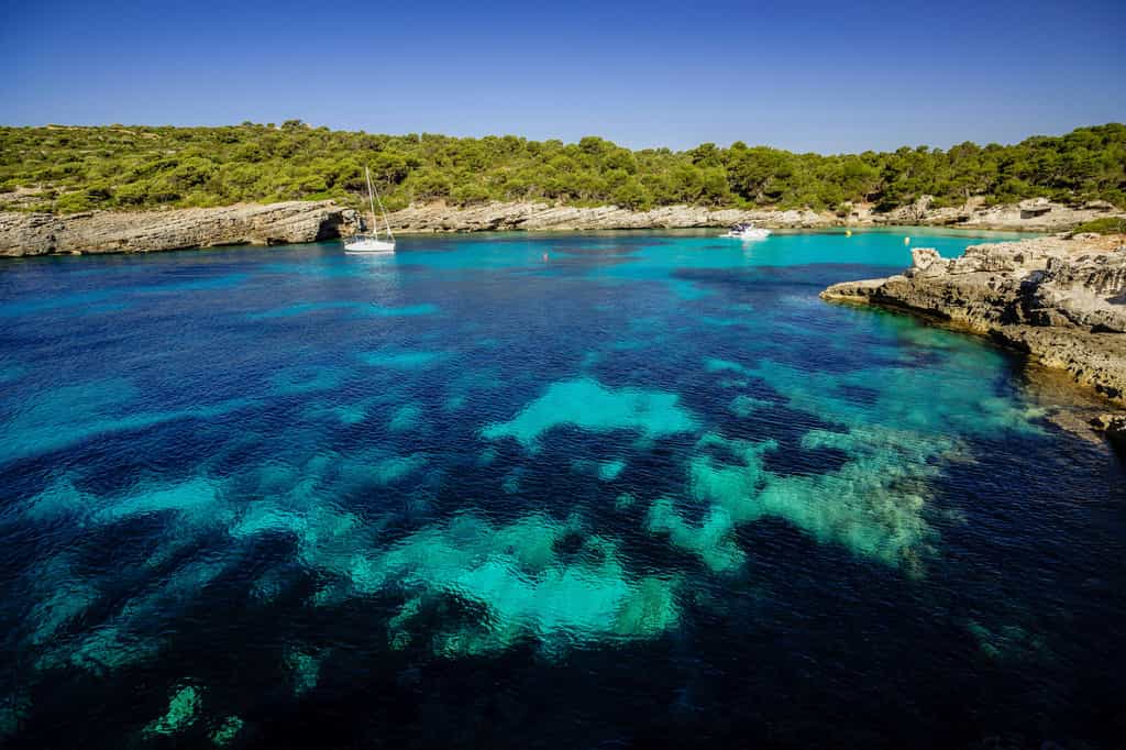 L'eau atteint les 30 °C en Corse. © Tolo, Adobe Stock