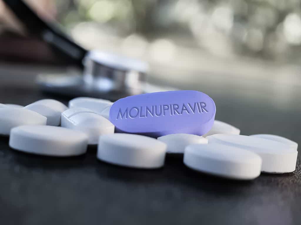 Le Molnupiravir limite la propagation du coronavirus en 24 heures. © Soni's, Adobe Stock