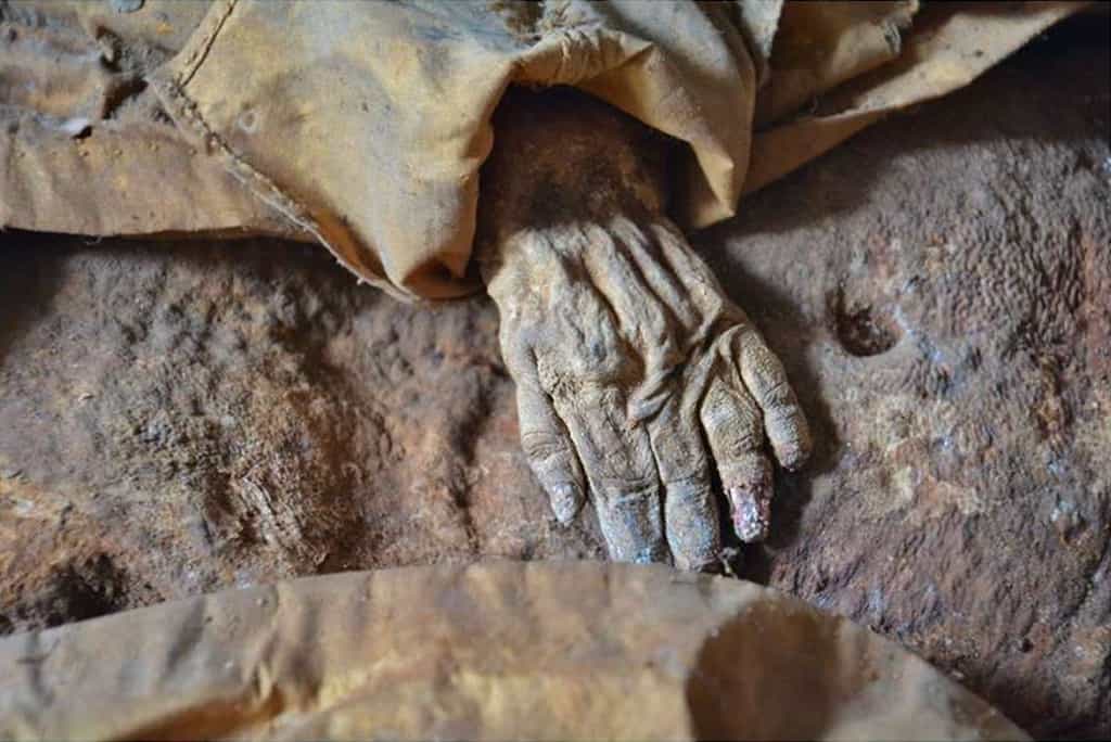Détail de la momie d'enfant de&nbsp;la crypte de Hellmonsödt (Autriche),&nbsp;main gauche sur l’abdomen. © Frontiers