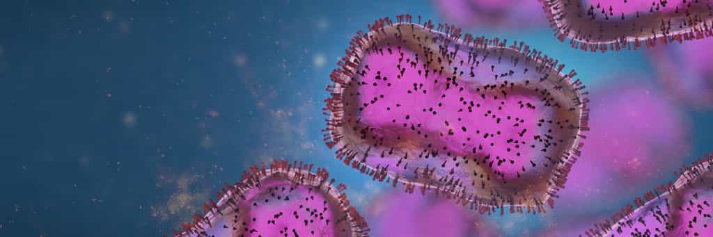 Cent quatre-vingt-trois cas de variole du singe sont confirmés en France au 16 juin 2022. © dottedyeti, Adobe Stock