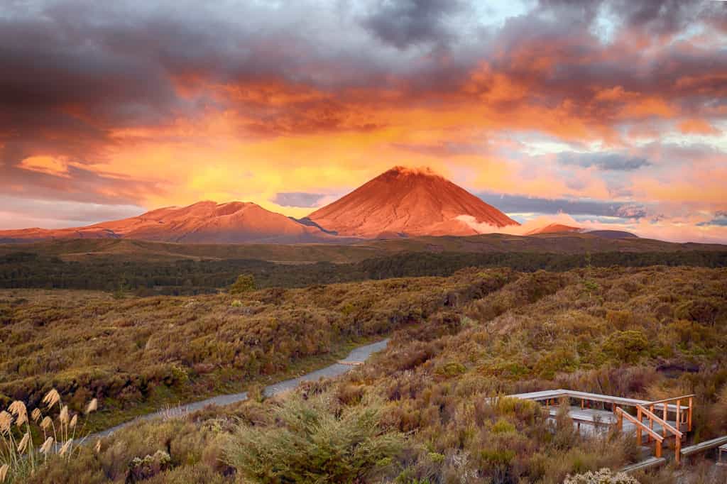 Le mont Ngauruho (appelé mont Doom dans Le Seigneur des anneaux) est l'une des localisations où a été tourné Le Seigneur des anneaux en Nouvelle-Zélande, notamment pour filmer les plans qui se déroulent au Mordor. © Sangchai Olanrittinunt, Adobe Stock