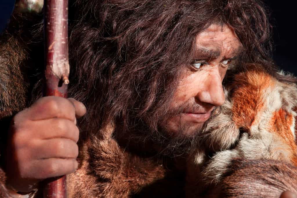  L’Homme de Néandertal devait réaliser des soins dentaires à l’aide de sortes de cure-dents. © procy_ab, Fotolia