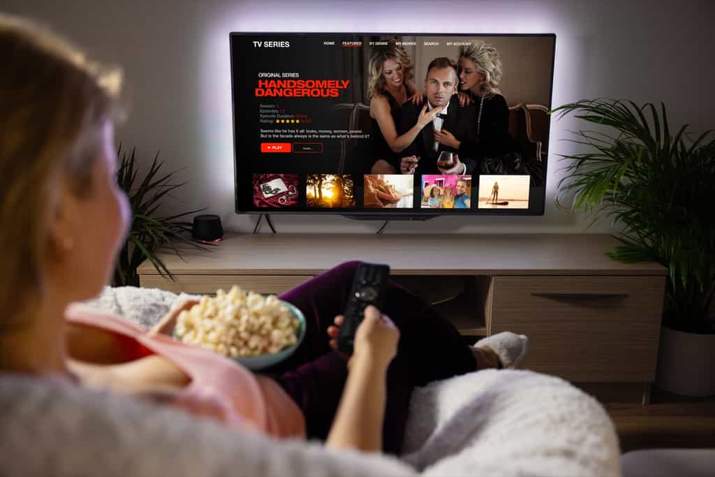 Netflix multiplie les pistes pour enrayer la perte d'abonnés. © &nbsp;Kaspars Grinvalds, Adobe Stock