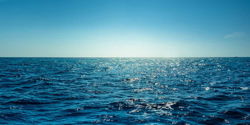 Le fond de l'océan était à 20 °C il y a 50 millions d'années. © peangdao, Adobe Stock