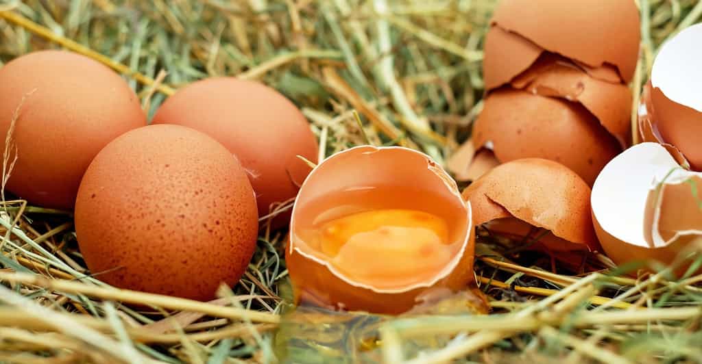 Les ovo-végétariens consomment des œufs. © Couleur, Pixabay, DP
