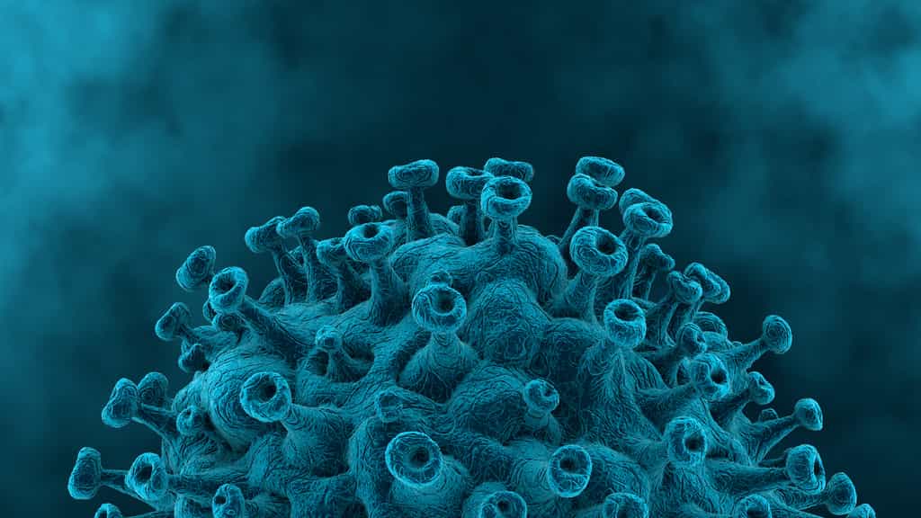 Selon une étude réalisée en Afrique du Sud, le risque d’être infecté une nouvelle fois par le SARS-CoV-2 est accru avec ce variant baptisé Omicron. © Crocothery, Adobe Stock