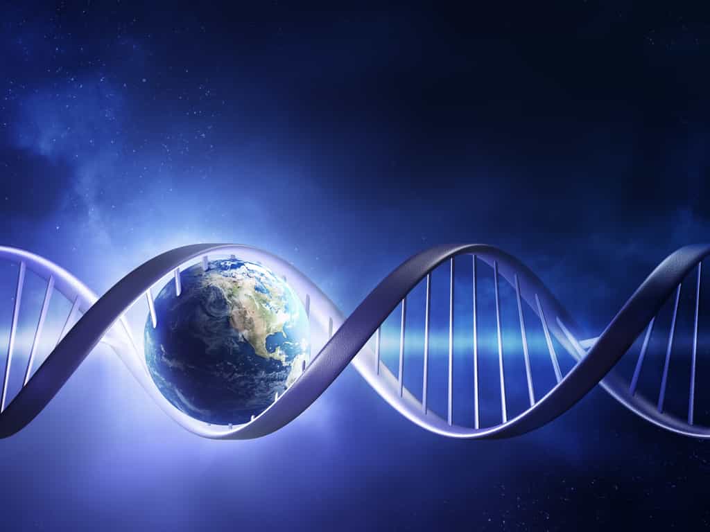 L'ADN de chaque individu possède environ 3,4 milliards de paires de nucléotides. Ce génome contient les informations nécessaires pour le fonctionnement l'organisme.© JohanSwanepoel, Adobe Stock