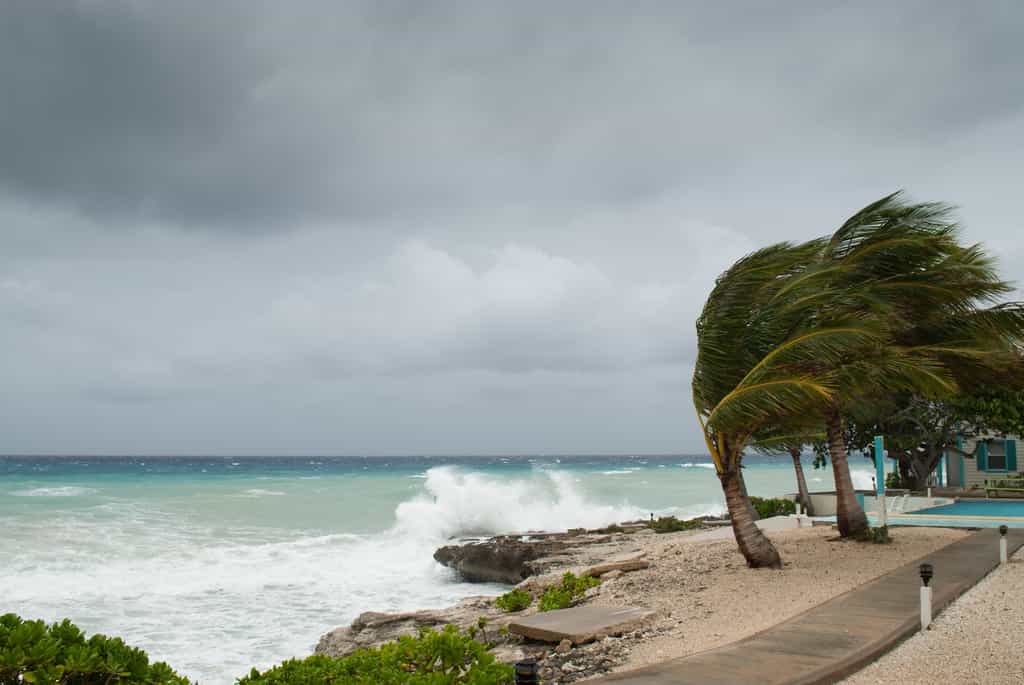 Irma, José : que signifie la catégorie d'un ouragan ? À partir de la catégorie 3, on parle d’ouragan majeur. © drew, Fotolia