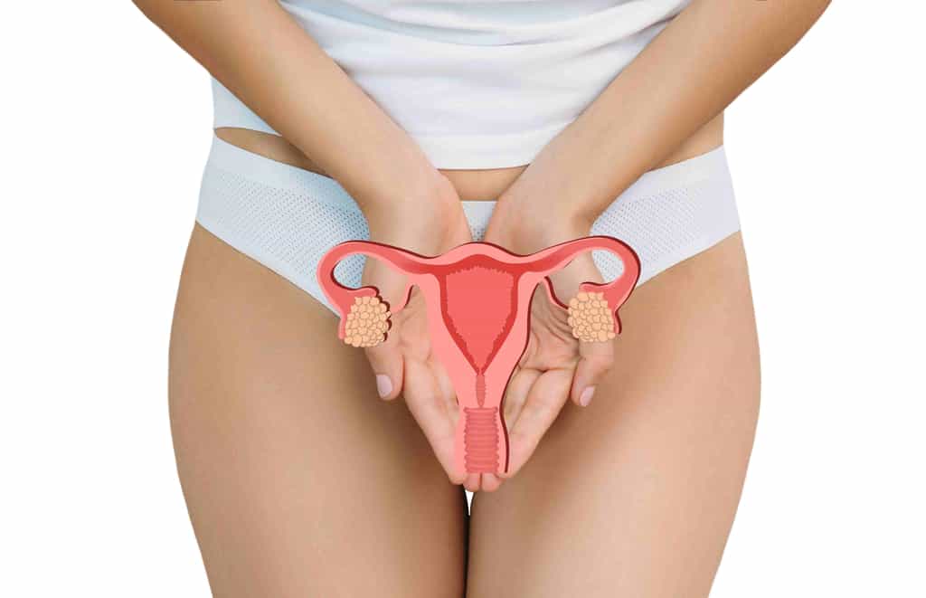 Un kyste ovarien est une petite poche remplie de liquide qui se développe sur l’un des ovaires ou sur les 2. © Peakstock, Adobe Stock