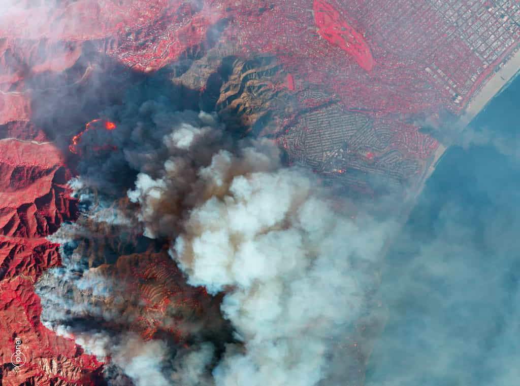 Image satellitaire de l'incendie Palisades acquise par un satellite SkySat de Planet le 8 janvier avec une résolution de 50 centimètres. © Planet Labs PBC