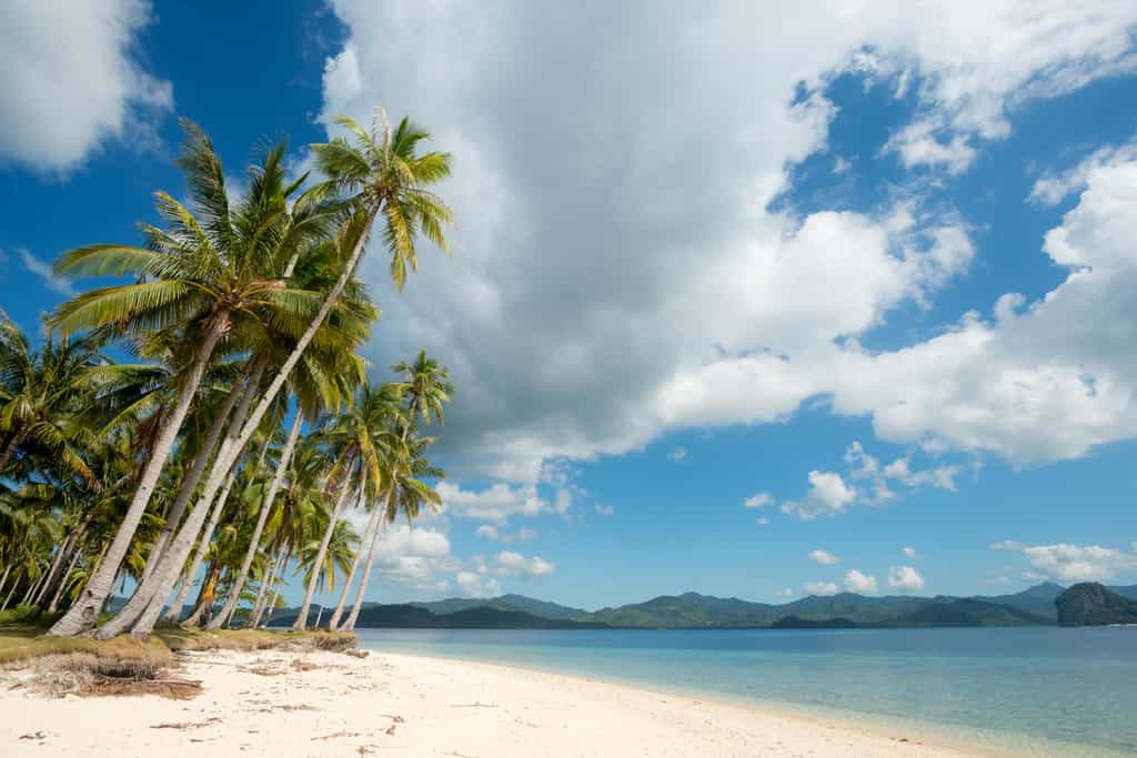 Une photo d'une plage des Philippines. © Fotolia, Christopher Howey