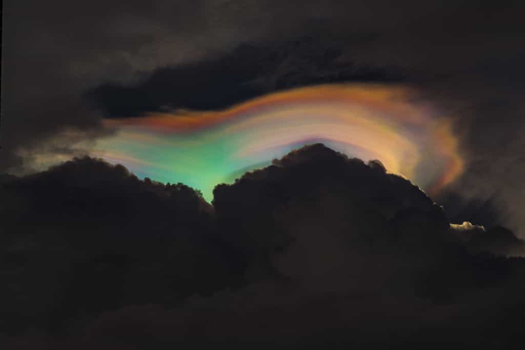 Un pileus irisé par la lumière du soleil, d'où ces couleurs arc-en-ciel. © jethita, Adobe Stock