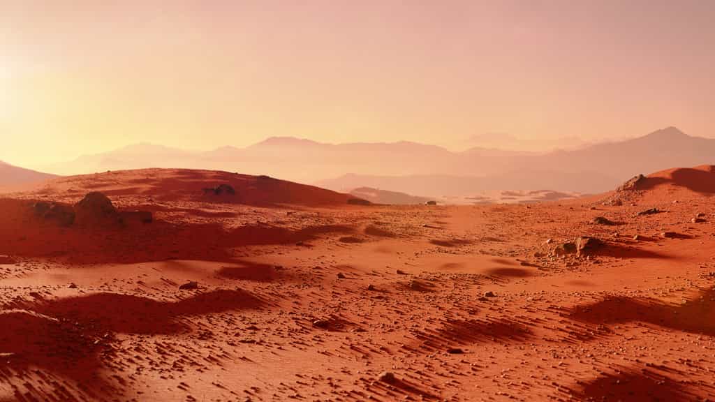 Certaines bactéries semblent pouvoir survivre aux conditions qui règnent sur Mars en produisant de la cellulose. © dottedyeti, Adobe Stock