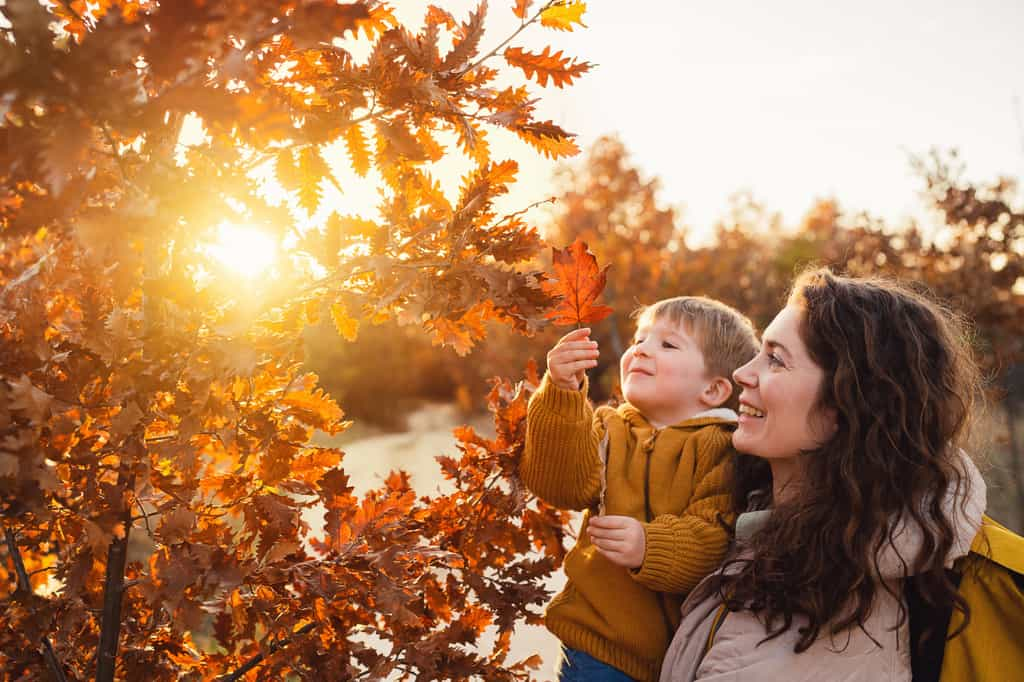 Pourquoi vous ne devez jamais planter ces arbres en automne. © SrdjanPav, iStock