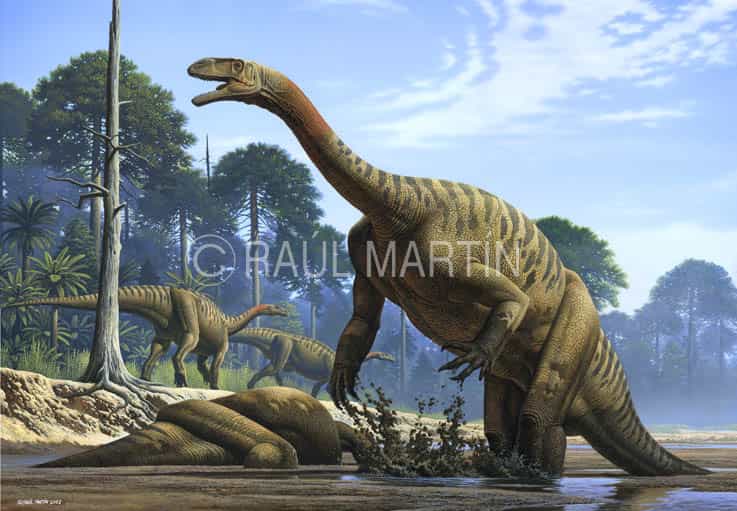Le platéosaure, l'un des premiers herbivores géants