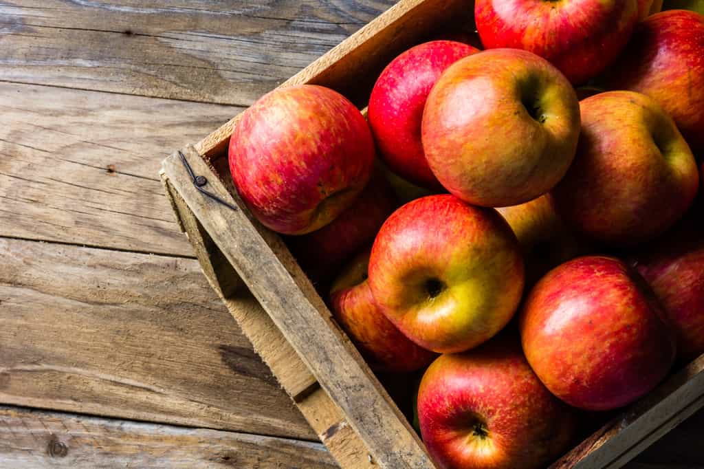 L’automne est la saison à laquelle on récolte les pommes. © lblinova, Fotolia