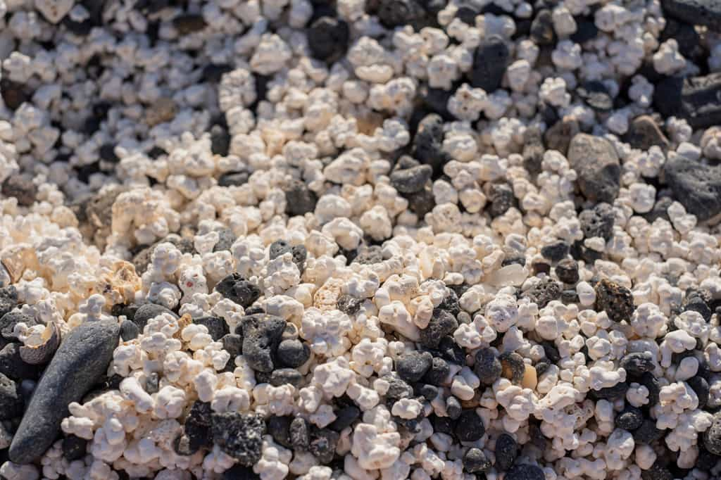 Certaines plages de l'île de Fuerteventura possèdent un sable qui ressemble à du popcorn. © jordirenart, Adobe Stock