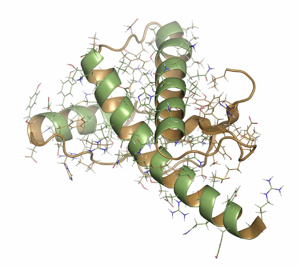 Structure du prion humain. © molekuul.be, Fotolia