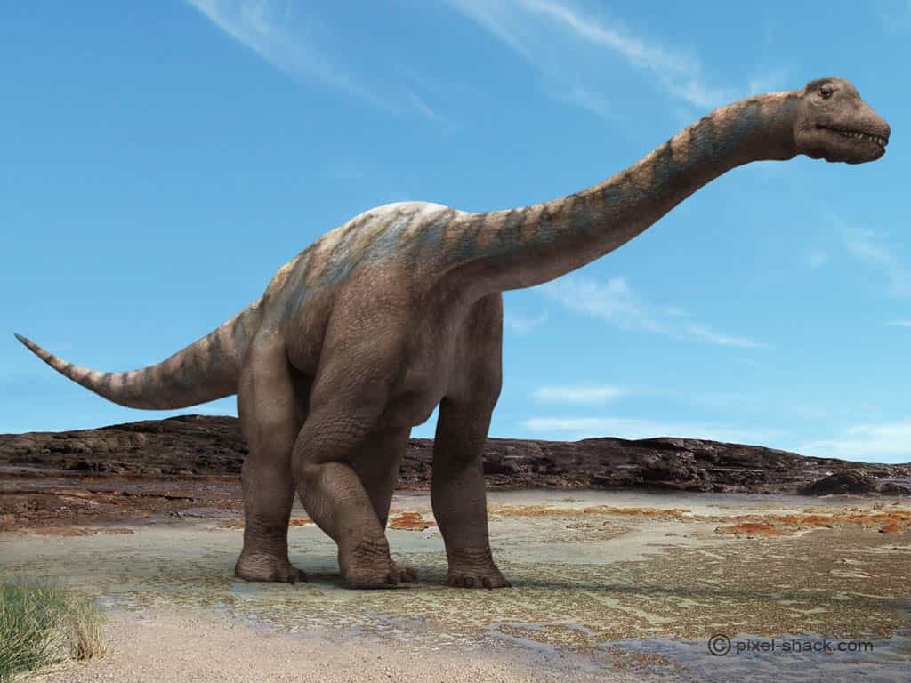 L'Argentinasaurus, certainement le plus grand dinosaure qui ait existé. © Courtesy of Jon Hugues, www.pixel-shack.com