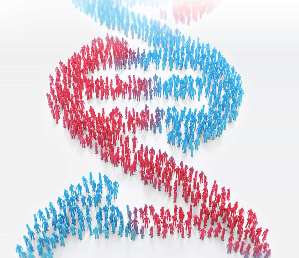 Une altération d'un ou plusieurs gènes peut conduire à une maladie génétique telle que la mucoviscidose, la trisomie 21, ou la myopathie. © Mopic, Adobe Stock