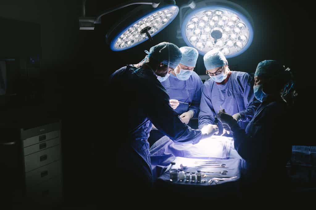 Ces opérations chirurgicales ont permis de sauver des patients en état quasi désespéré. © Jacob Lund, Adobe Stock