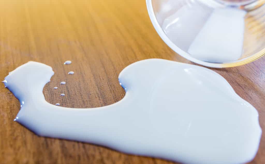 Je n’ai plus de lait : par quoi le remplacer ? © Rainer Fuhrmann, Adobe Stock