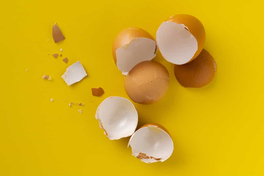 Comment remplacer les œufs ? © Mihail, Adobe Stock