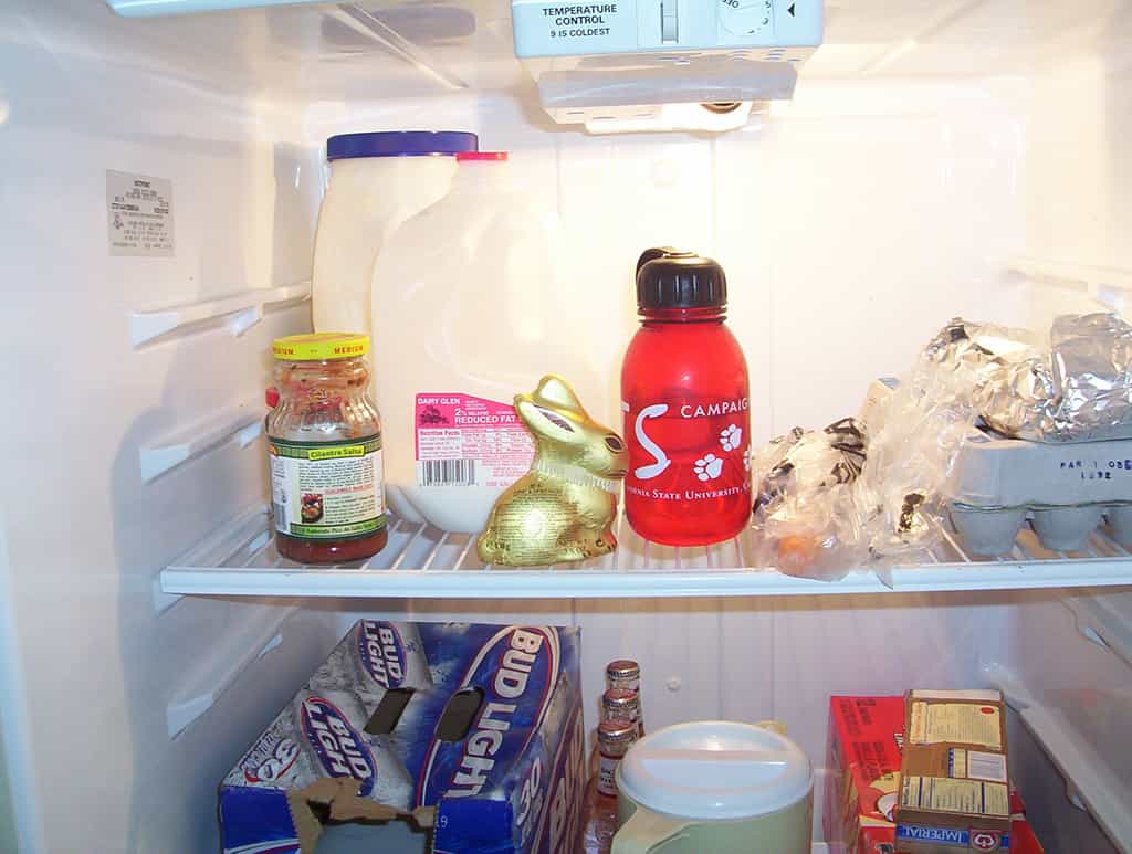 Il est possible de peindre un réfrigérateur pour le distinguer des réfrigérateurs classiques. © Saopaulo1, Wikimedia Commons, CC BY-SA 3.0