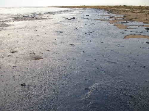 Du pétrole échoué sur une plage, suite à une marée noire en mer Noire (2007). © Marinephotobank CC by 2.0