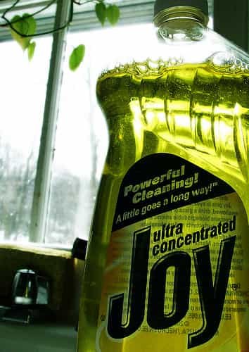 Ce détergent ultra-concentré permet plus d’utilisations avec une seule bouteille. © Dave Bonta CC by-nc-nd 2.0